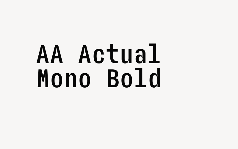 AA Actual Mono Bold Font