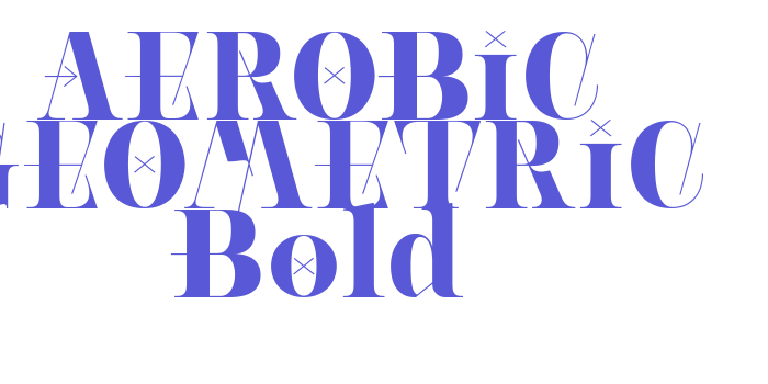 AEROBIC GEOMETRIC Bold Font Download