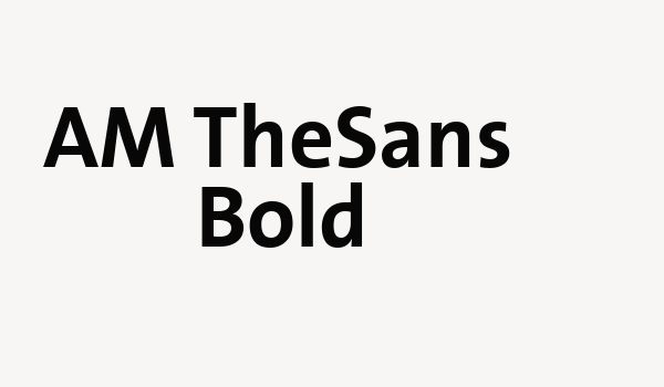 AM TheSans Bold Font