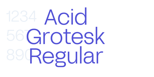Acid Grotesk Regular-font-download