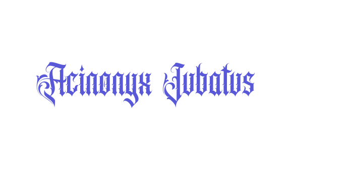 Acinonyx Jubatus Font