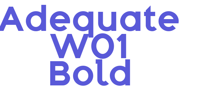 Adequate W01 Bold Font