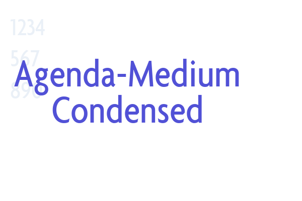 Agenda-Medium Condensed