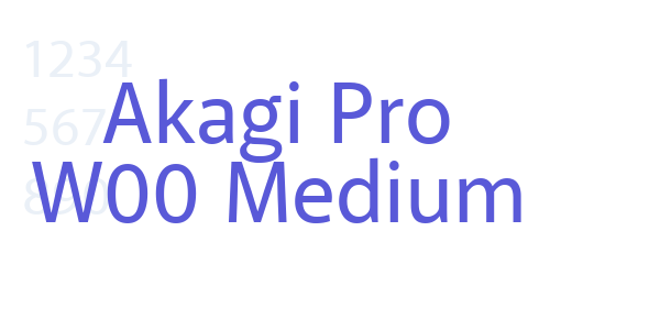 Akagi Pro W00 Medium font free