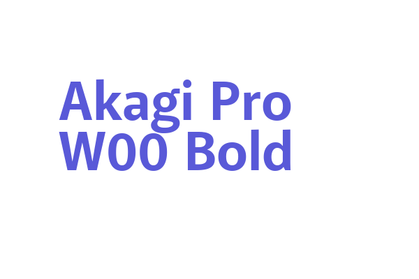 Akagi Pro W00 Bold Font