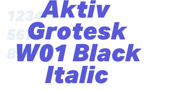 Aktiv Grotesk W01 Black Italic font free