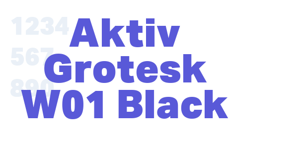 Aktiv Grotesk W01 Black font free