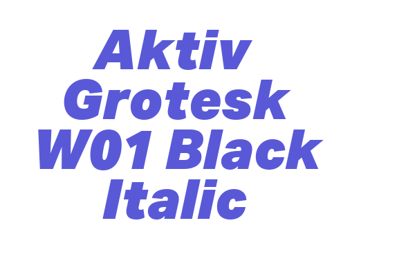 Aktiv Grotesk W01 Black Italic Font