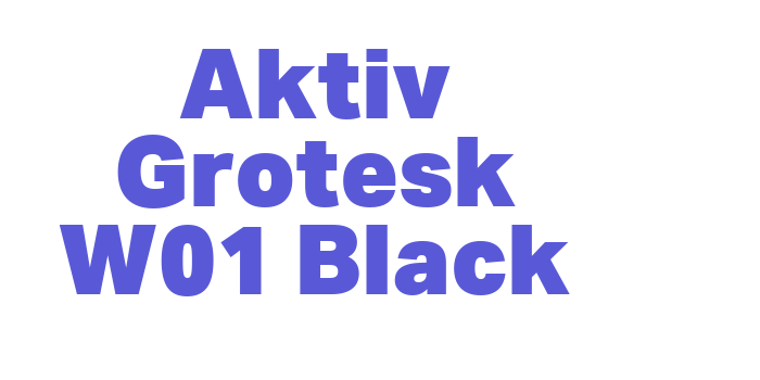 Download Aktiv Grotesk W01 Black Font