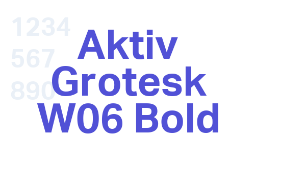 Aktiv Grotesk W06 Bold font download