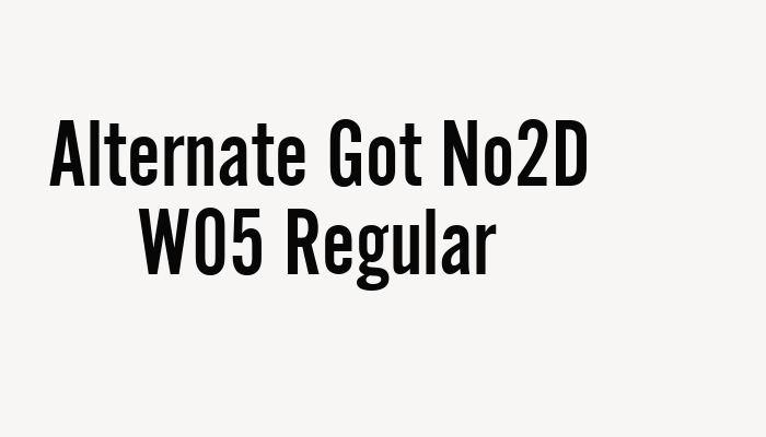 Alternate Got No2D W05 Regular font download