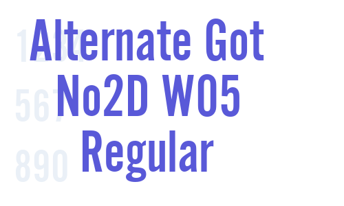 Alternate Got No2D W05 Regular Font