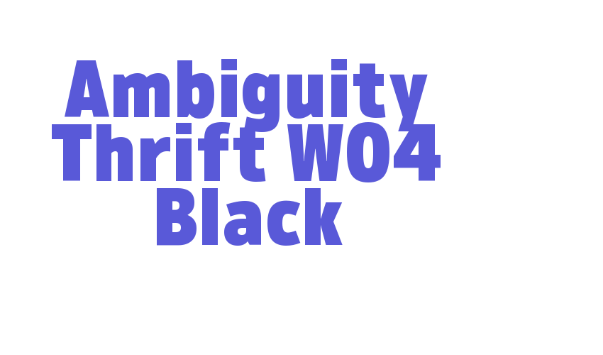 Ambiguity Thrift W04 Black Font Download