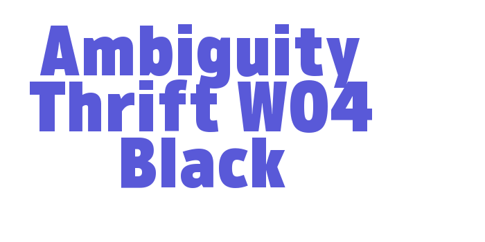 Ambiguity Thrift W04 Black Font Download