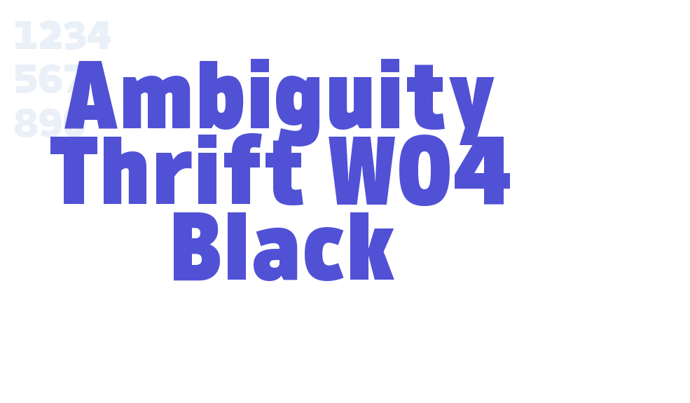 Ambiguity Thrift W04 Black-font-download