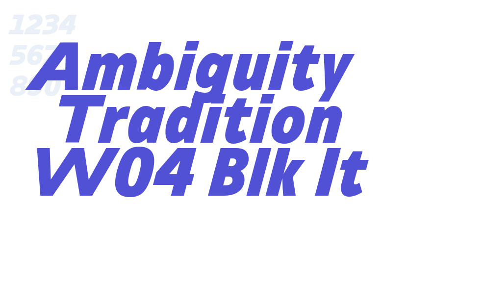 Ambiguity Tradition W04 Blk It-font-download