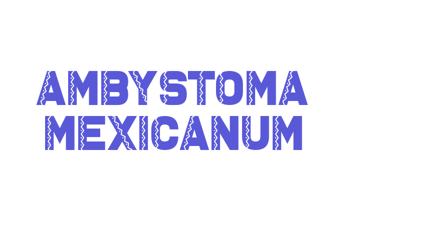 Ambystoma Mexicanum Font Download