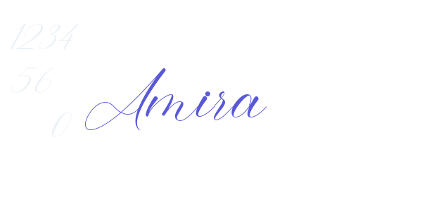 Amira font