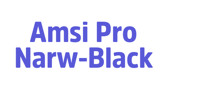 Amsi Pro Narw-Black Font