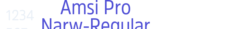 Amsi Pro Narw-Regular-font