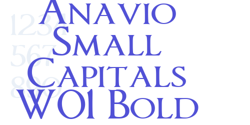 Anavio Small Capitals W01 Bold-font-download