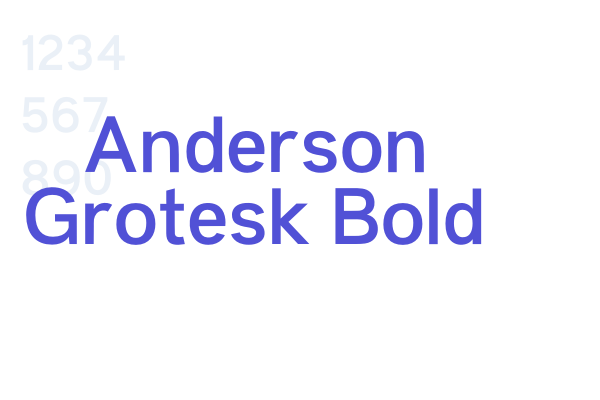 Anderson Grotesk Bold