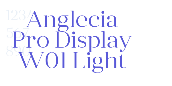 Anglecia Pro Display W01 Light font