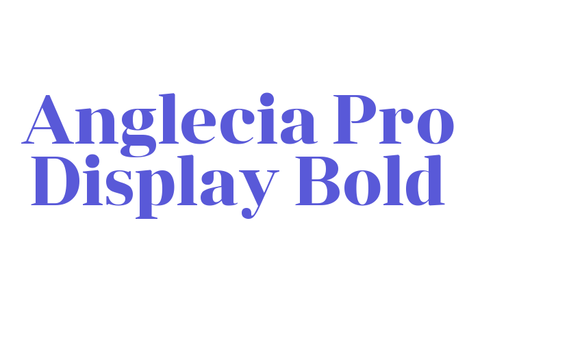 Anglecia Pro Display Bold Font