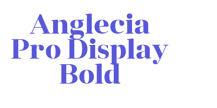 Anglecia Pro Display Bold Font Download