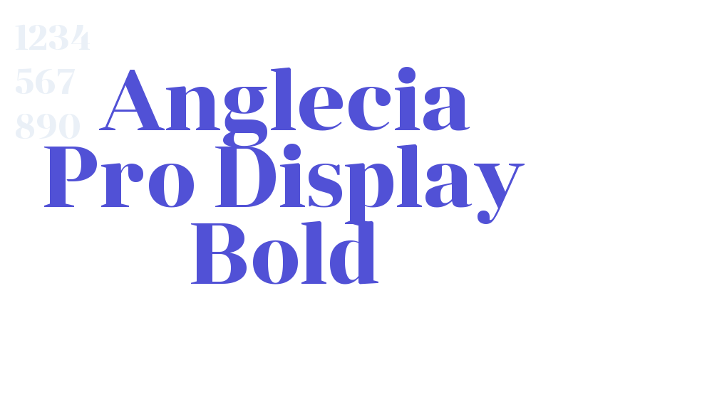 Anglecia Pro Display Bold-font-download