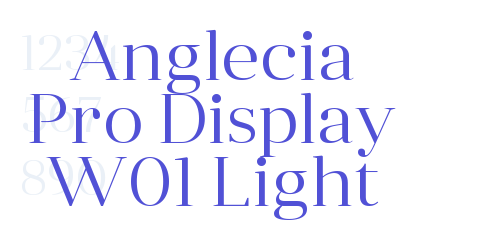 Anglecia Pro Display W01 Light-font-download