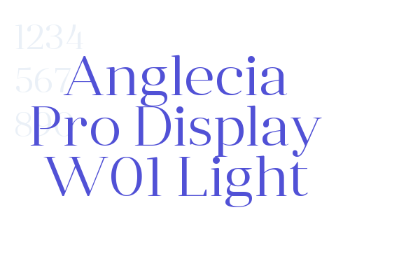 Anglecia Pro Display W01 Light
