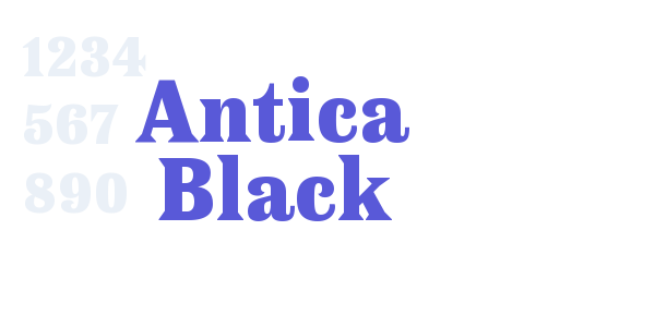 Antica Black font free