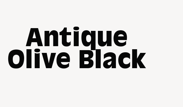 Antique Olive Black Font