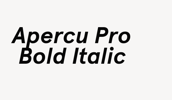 Apercu Pro Bold Italic Font