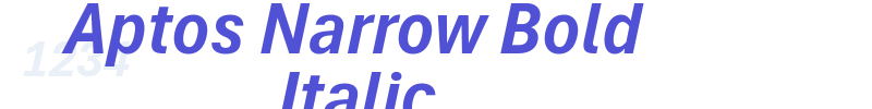 Aptos Narrow Bold Italic-font