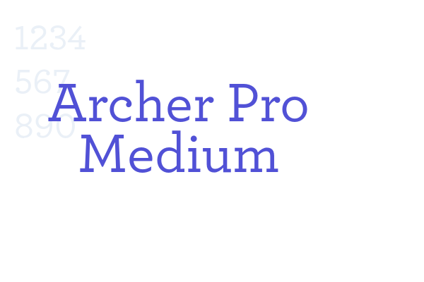 Archer Pro Medium