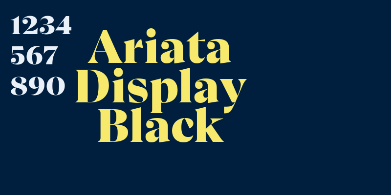 Ariata Display Black