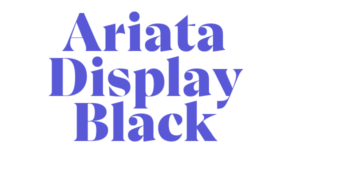 Ariata Display Black Font