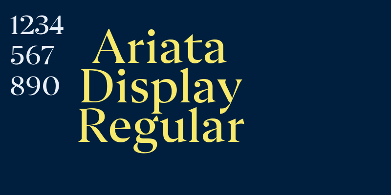 Ariata Display Regular