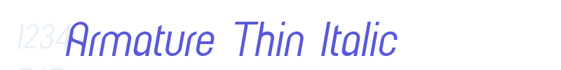 Armature Thin Italic