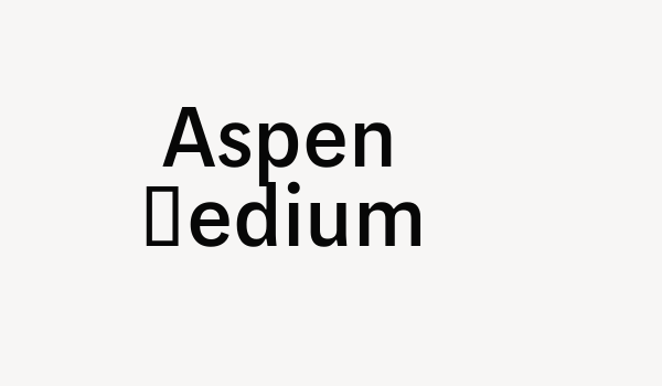 Aspen Medium Font