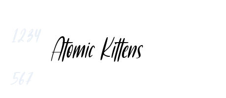 Atomic Kittens