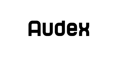 Audex