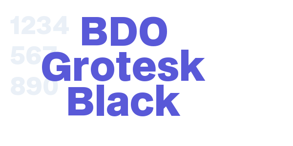 BDO Grotesk Black font free