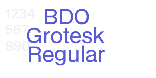 BDO Grotesk Regular font free