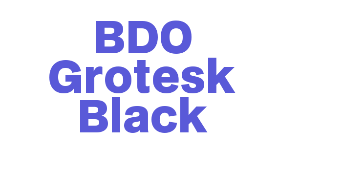 BDO Grotesk Black Font Download