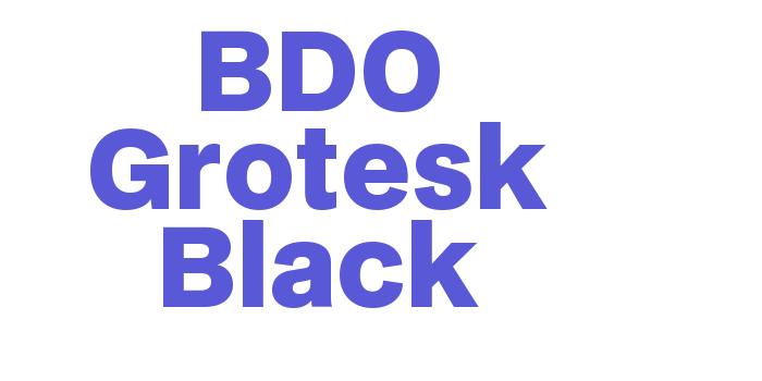 BDO Grotesk Black Font