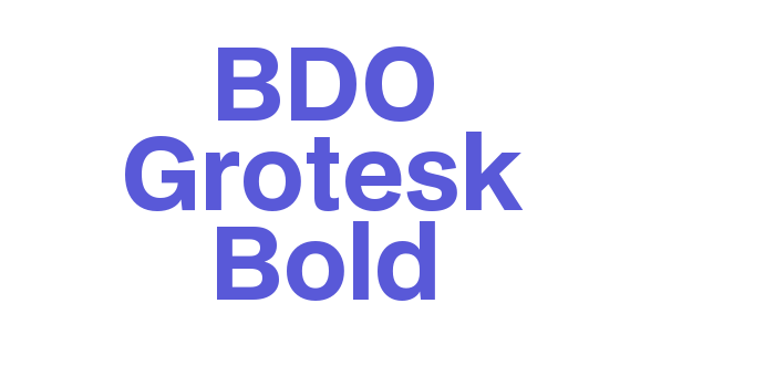 BDO Grotesk Bold Font Download