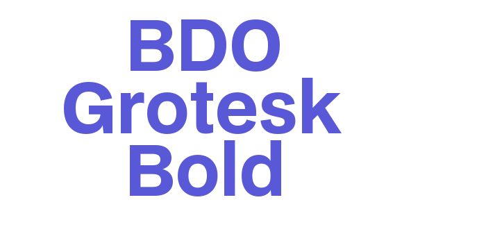 BDO Grotesk Bold Font